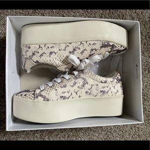 Steve Madden Shoes